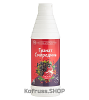 Основа для напитков P.S "Гранат-Смородина", 1 кг АВ