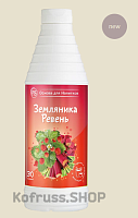 Основа для напитков P.S "Земляника-Ревень", 1 кг АВ